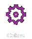 Cakes