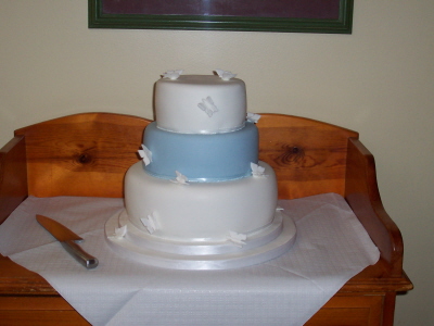 Col & Hannah's Wedding Cake